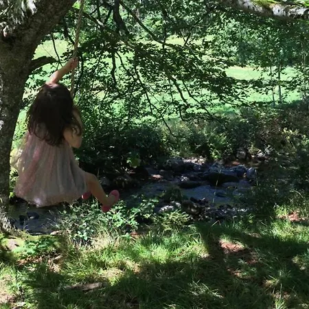 Haus Wiesengrund-fahl, Fewo 6 Todtnau