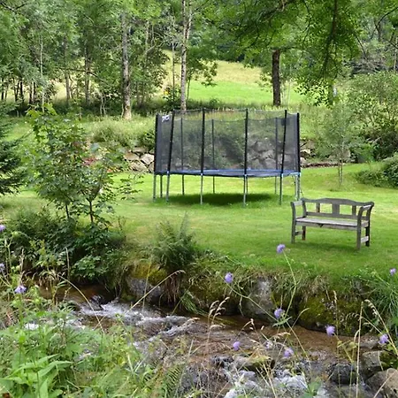 Apartment Haus Wiesengrund-fahl, Fewo 6 *