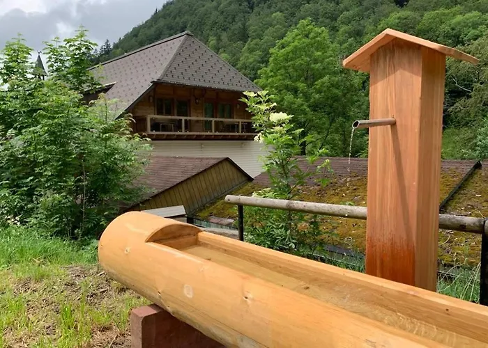 Haus Wiesengrund-fahl, Fewo 6 ホテル トートナウ