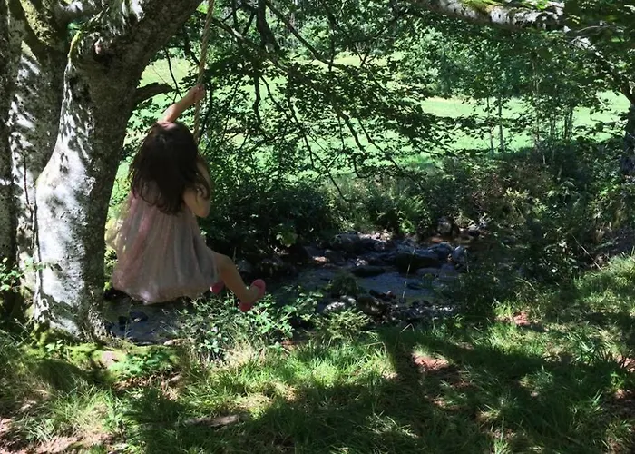 Haus Wiesengrund-fahl, Fewo 6 トートナウ