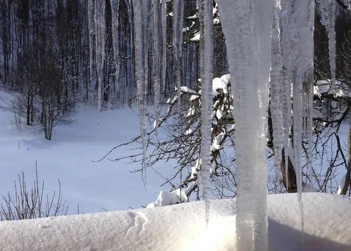 Haus Wiesengrund-fahl, Fewo 6